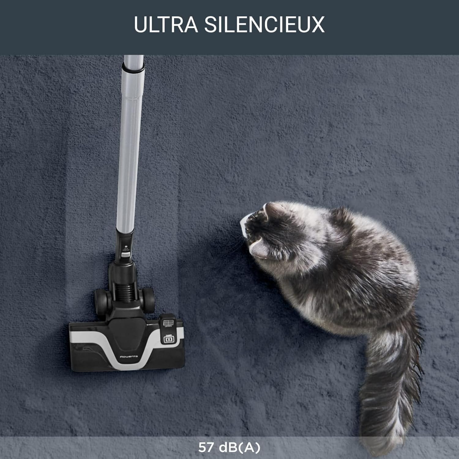 Rowenta Silent Bagged Vacuum Cleaner, 4.5L Capacity, High Filtration, Energy-Efficient Motor, Pet Hair Accessories, Powerful & Quiet Cleaning